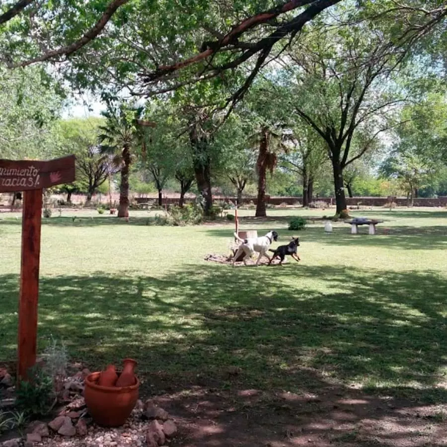 Parque del Amigo - Cementerio para mascotas 06