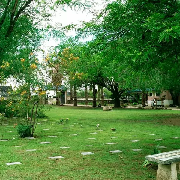 Parque del Amigo - Cementerio para mascotas 08